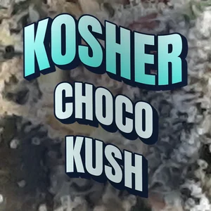 Kosher Choco Kush Cannabis Strain