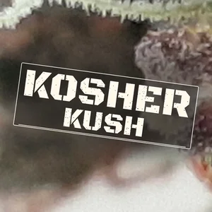 Kosher Kush Cannabis Strain