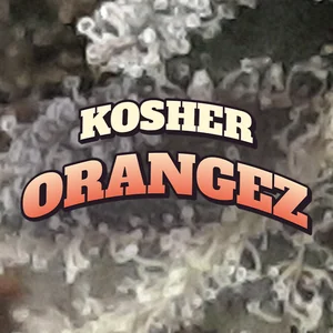 Kosher Orangez Cannabis Strain