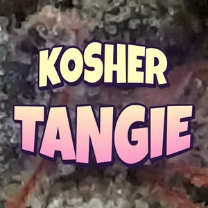Kosher Tangie Cannabis Strain
