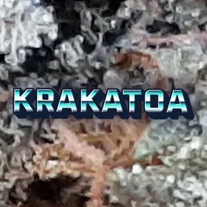 Krakatoa Cannabis Strain