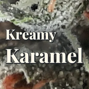 Kreamy Karamel Cannabis Strain