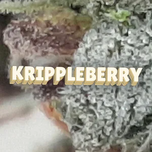 Krippleberry Cannabis Strain