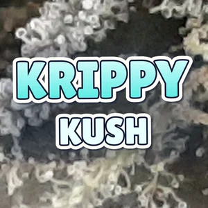 Krippy Kush Cannabis Strain
