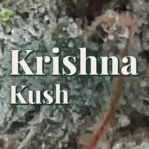Krishna Kush Cannabis Strain