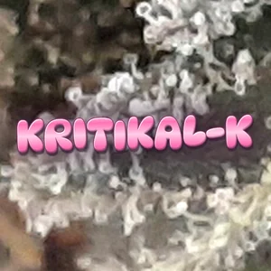 Kritikal-K Cannabis Strain