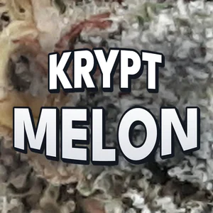 Krypt Melon Cannabis Strain