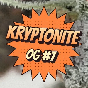 Kryptonite OG #7 Cannabis Strain