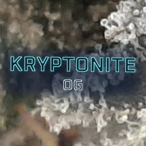 Kryptonite OG Cannabis Strain