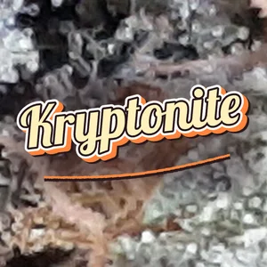 Kryptonite Cannabis Strain