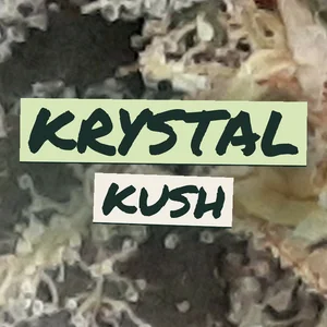 Krystal Kush Cannabis Strain