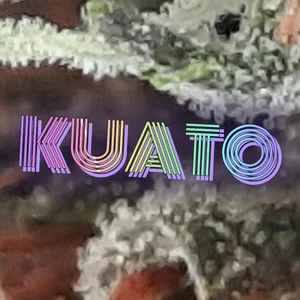 Kuato Cannabis Strain