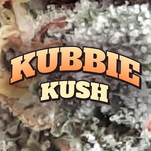 Kubbie Kush Cannabis Strain