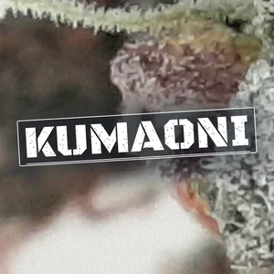 Kumaoni Cannabis Strain