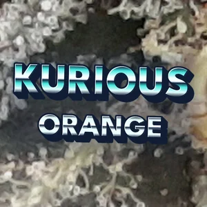 Kurious Orange Cannabis Strain