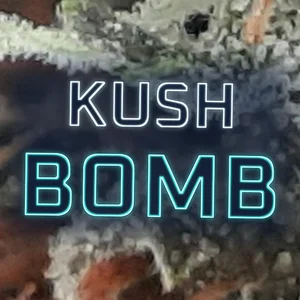 Kush Bomb Cannabis Strain