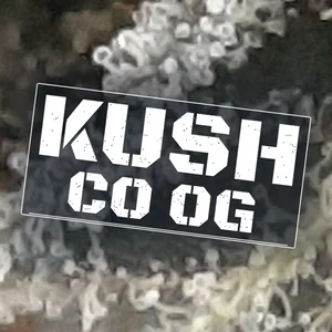 Kush Co OG Cannabis Strain