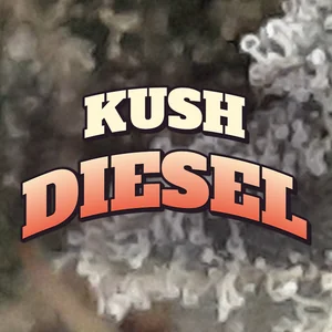 Kush Diesel Cannabis Strain