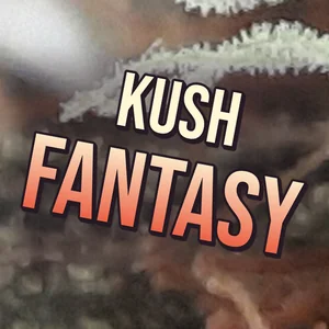 Kush Fantasy Cannabis Strain