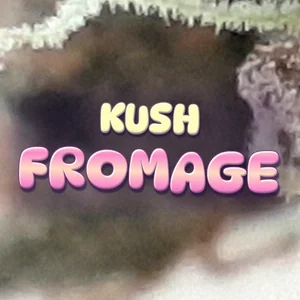 Kush Fromage Cannabis Strain