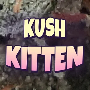Kush Kitten Cannabis Strain