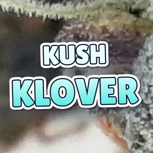 Kush Klover Cannabis Strain
