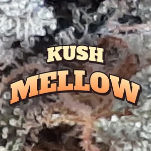 Kush Mellow Cannabis Strain