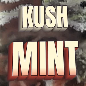 Kush Mint Cannabis Strain
