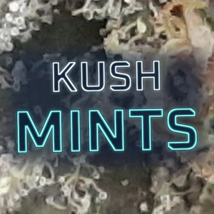 Kush Mints Cannabis Strain