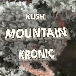 Kush Mountain Kronic Cannabis Strain