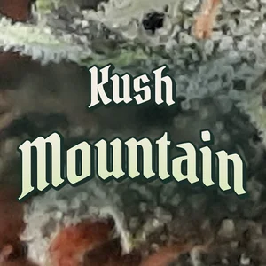 Kush Mountain Cannabis Strain