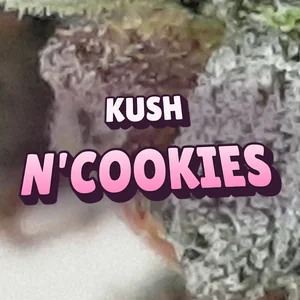 Kush N'Cookies Cannabis Strain