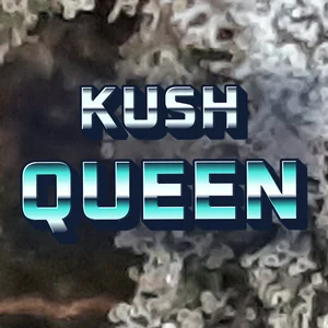 Kush Queen Cannabis Strain