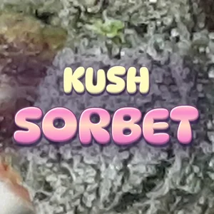 Kush Sorbet Cannabis Strain