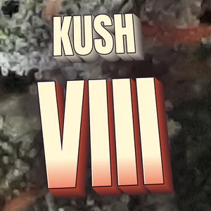 Kush VIII Cannabis Strain