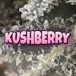 Kushberry Cannabis Strain