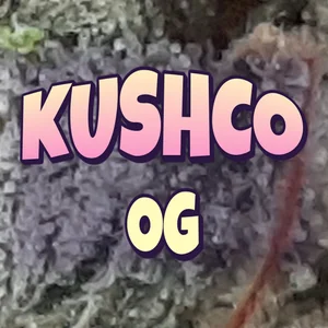 KushCo OG Cannabis Strain
