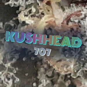 Kushhead 707 Cannabis Strain