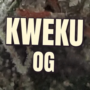 Kweku OG Cannabis Strain