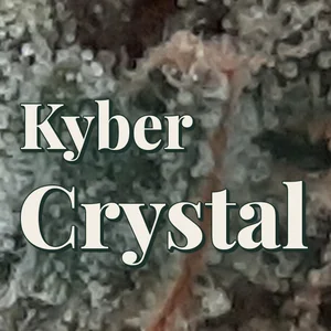 Kyber Crystal Cannabis Strain