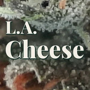 L.A. Cheese Cannabis Strain