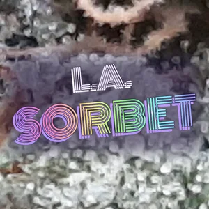 L.A. Sorbet Cannabis Strain