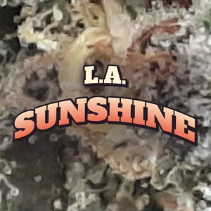L.A. Sunshine Cannabis Strain
