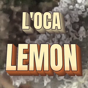 L'Oca Lemon Cannabis Strain