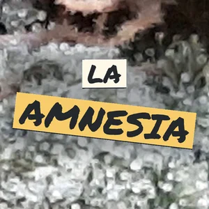 LA Amnesia Cannabis Strain