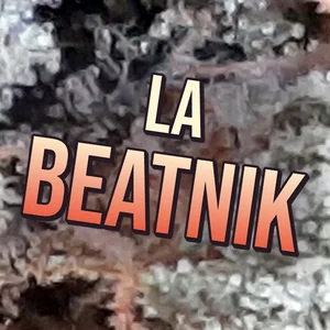 LA Beatnik Cannabis Strain