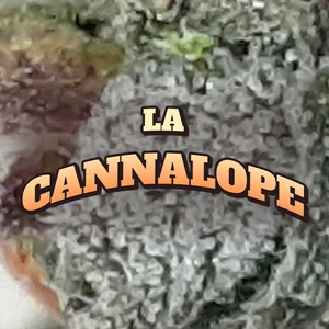 La Cannalope Cannabis Strain