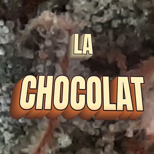 LA Chocolat Cannabis Strain