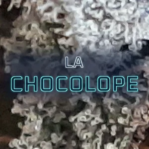 LA Chocolope Cannabis Strain