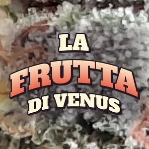 La Frutta di Venus Cannabis Strain
